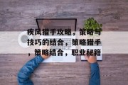 疾风猎手攻略，策略与技巧的结合，策略猎手，策略结合，职业秘籍