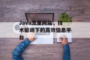 Java流量网站,技术驱动下的高效信息平台 Java流量网站,技术驱动下的高效信息平台