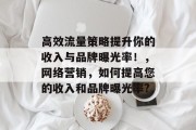 高效流量策略提升你的收入与品牌曝光率!,网络营销,如何提高您的收入和品牌曝光率?