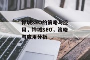 禅城SEO的策略与应用，禅城SEO，策略与应用分析