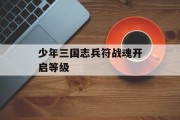 少年三国志兵符战魂开启等级