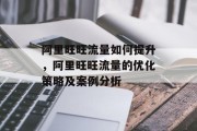 阿里旺旺流量如何提升,阿里旺旺流量的优化策略及案例分析 阿里旺旺流量如何提升,阿里旺旺流量的优化策略及案例分析