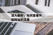 深入解析，如何查看外部网站的流量