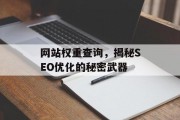网站权重查询，揭秘SEO优化的秘密武器
