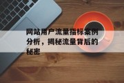 网站用户流量指标案例分析，揭秘流量背后的秘密