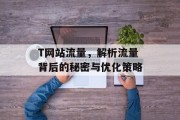 T网站流量,解析流量背后的秘密与优化策略 T网站流量,解析流量背后的秘密与优化策略