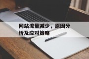 网站流量减少，原因分析及应对策略