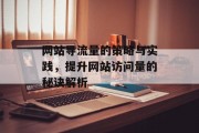 网站导流量的策略与实践,提升网站访问量的秘诀解析 网站导流量的策略与实践,提升网站访问量的秘诀解析