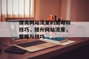提高网站流量的策略和技巧，提升网站流量，策略与技巧