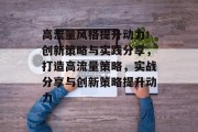 高流量风格提升动力:创新策略与实践分享,打造高流量策略,实战分享与创新策略提升动力 高流量风格提升动力:创新策略与实践分享,打造高流量策略,实战分享与创新策略提升动力