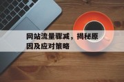 网站流量骤减,揭秘原因及应对策略 网站流量骤减,揭秘原因及应对策略