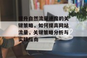 提升自然流量速度的关键策略,如何提高网站流量,关键策略分析与实践指南 提升自然流量速度的关键策略,如何提高网站流量,关键策略分析与实践指南
