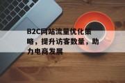 B2C网站流量优化策略,提升访客数量,助力电商发展 B2C网站流量优化策略,提升访客数量,助力电商发展