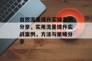 自然流量提升实操案例分享,实用流量提升实战案例,方法与策略分享 自然流量提升实操案例分享,实用流量提升实战案例,方法与策略分享