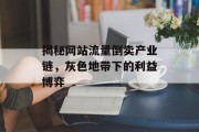 揭秘网站流量倒卖产业链,灰色地带下的利益博弈 揭秘网站流量倒卖产业链,灰色地带下的利益博弈