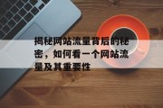 揭秘网站流量背后的秘密,如何看一个网站流量及其重要性 揭秘网站流量背后的秘密,如何看一个网站流量及其重要性