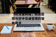 飞机流量网站，航路监控与空中交通管理的智能助手