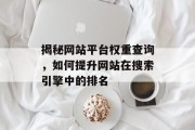 揭秘网站平台权重查询，如何提升网站在搜索引擎中的排名