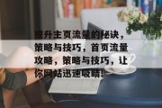 提升主页流量的秘诀,策略与技巧,首页流量攻略,策略与技巧,让你网站迅速吸睛! 提升主页流量的秘诀,策略与技巧,首页流量攻略,策略与技巧,让你网站迅速吸睛!