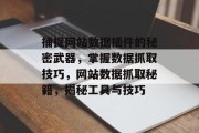 捕捉网站数据插件的秘密武器，掌握数据抓取技巧，网站数据抓取秘籍，揭秘工具与技巧