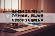 提升网站流量与转化率的五种策略，网站流量与转化率提升策略五大方案