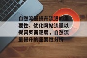 自然流量提升流速的重要性，优化网站流量以提高页面速度，自然流量提升的重要性分析