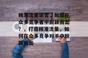 精准流量运营,如何在众多竞争者中脱颖而出?,打造精准流量,如何在众多竞争对手中脱颖而出 精准流量运营,如何在众多竞争者中脱颖而出?,打造精准流量,如何在众多竞争对手中脱颖而出