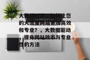 大数据时代,如何让您的大流量网站更加高效和专业?,大数据驱动,提升网站效率与专业性的方法 大数据时代,如何让您的大流量网站更加高效和专业?,大数据驱动,提升网站效率与专业性的方法