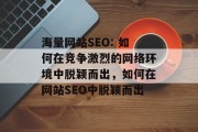 海量网站SEO: 如何在竞争激烈的网络环境中脱颖而出，如何在网站SEO中脱颖而出