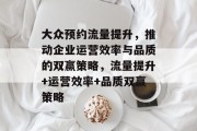 大众预约流量提升,推动企业运营效率与品质的双赢策略,流量提升+运营效率+品质双赢策略