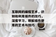 互联网的编程艺术,识别和利用插件的技巧,深度学习,理解插件使用的艺术与技巧 互联网的编程艺术,识别和利用插件的技巧,深度学习,理解插件使用的艺术与技巧