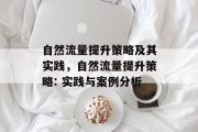 自然流量提升策略及其实践,自然流量提升策略: 实践与案例分析 自然流量提升策略及其实践,自然流量提升策略: 实践与案例分析