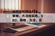 如何分析网站SEO,策略、方法和实践,SEO,策略,方法,实践 如何分析网站SEO,策略、方法和实践,SEO,策略,方法,实践