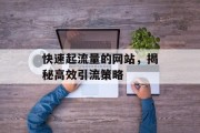 快速起流量的网站，揭秘高效引流策略