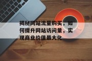 揭秘网站流量购买,如何提升网站访问量,实现商业价值最大化 揭秘网站流量购买,如何提升网站访问量,实现商业价值最大化