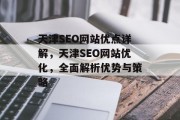 天津SEO网站优点详解,天津SEO网站优化,全面解析优势与策略 天津SEO网站优点详解,天津SEO网站优化,全面解析优势与策略