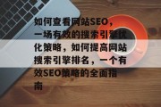 如何查看网站SEO，一场有效的搜索引擎优化策略，如何提高网站搜索引擎排名，一个有效SEO策略的全面指南