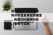 阳泉SEO网站优化案例分析及未来趋势展望,阳泉SEO案例分析,策略与实践 阳泉SEO网站优化案例分析及未来趋势展望,阳泉SEO案例分析,策略与实践