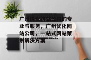 广州优化网站公司的专业与服务，广州优化网站公司，一站式网站策划解决方案