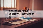 Linux系统下网站流量监控，高效运维之道