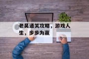 老吴通关攻略,游戏人生,步步为赢 老吴通关攻略,游戏人生,步步为赢
