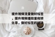 提升视频流量做好标签,提升视频播放量和转化率,做好标签的秘诀