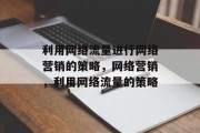 利用网络流量进行网络营销的策略,网络营销,利用网络流量的策略 利用网络流量进行网络营销的策略,网络营销,利用网络流量的策略