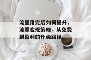 流量用完后如何提升,流量变现策略,从免费到盈利的升级路径