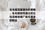 毛毛姐流量提升的策略，毛毛姐如何通过优化社交媒体推广吸引更多的粉丝
