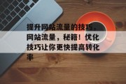 提升网站流量的技巧，网站流量，秘籍！优化技巧让你更快提高转化率