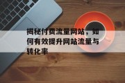揭秘付费流量网站,如何有效提升网站流量与转化率 揭秘付费流量网站,如何有效提升网站流量与转化率