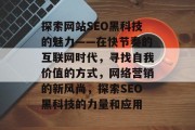 探索网站SEO黑科技的魅力——在快节奏的互联网时代，寻找自我价值的方式，网络营销的新风尚，探索SEO黑科技的力量和应用