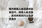 提升网络人脉流量的实用技巧,网络人脉流量,高效利用技巧让你步步高升 提升网络人脉流量的实用技巧,网络人脉流量,高效利用技巧让你步步高升