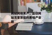 揭秘网络黑产,盗窃网站流量背后的黑暗产业链 揭秘网络黑产,盗窃网站流量背后的黑暗产业链
